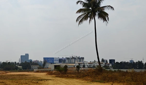 Boundary development with graded earth surfaces alongside tall natural palm trees at Sobha One Residences