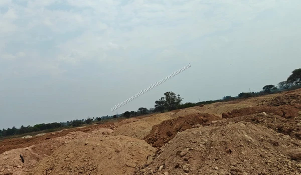 Sandy curved access route passing by preserved palm trees within the Sobha One Residences boundaries