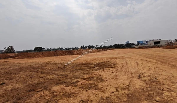 Existing lush green palm trees and natural surroundings preserved around the Sobha One Residences perimeter