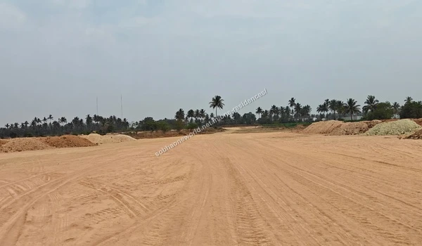 Graded pathways and cleared sections with palm trees bordering the Sobha One Residences site