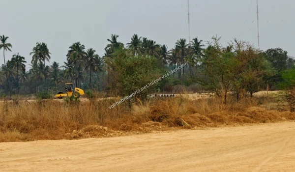 Freshly compacted sandy access pathways curving along the palm tree-lined perimeter of Sobha One Residences