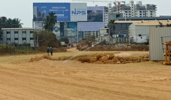 Cleared sandy terrain boundaries accented by tall existing palm trees at the Sobha One Residences development