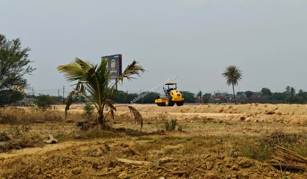 A newly compacted earth trail leading past a small palm tree towards the main road at Sobha One World.