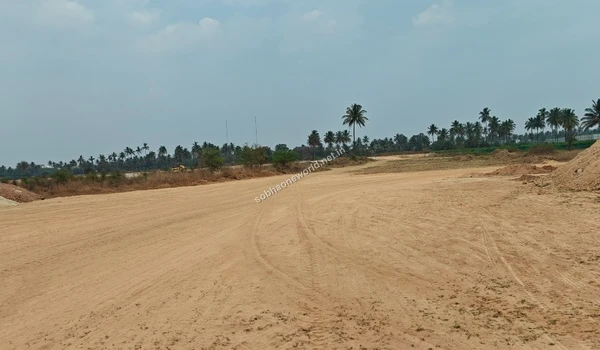 Heavy tire tracks forming a broad pathway through the sandy soil leading towards a line of distant native trees at Sobha One World.