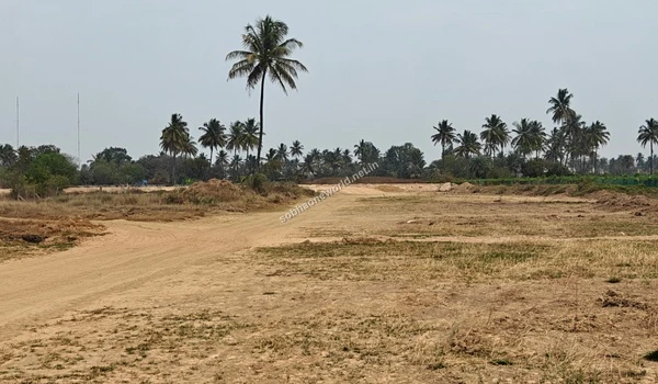Broad view of the sandy, leveled expanse at the Sobha One World project grounds, capturing the vastness of the cleared property ready for initial development.