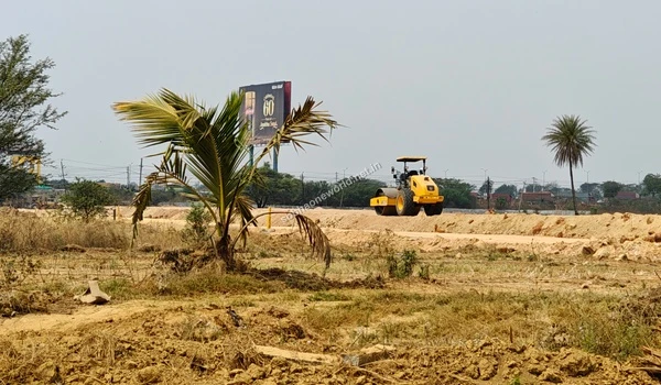 Ground preparation and soil compaction occurring along the boundary of the Sobha One World project lands past a young foreground palm tree.