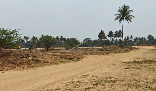A dirt service road winding through the Sobha One World construction site, bordered by cleared land and distinct palm trees under an overcast sky.