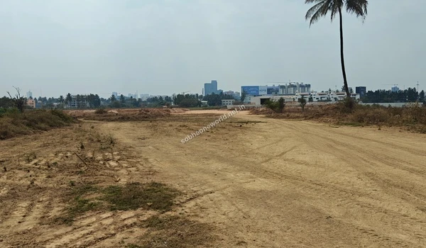 A tall, solitary palm tree acts as a landmark on the heavily graded sandy property of Sobha One World.